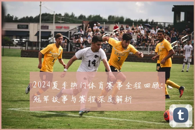 2024夏季热门体育赛事全程回顾：冠军故事与赛程深度解析